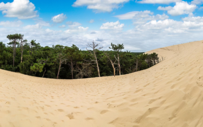 Arcachon se réinvente entre culture vivante et tourisme durable authentique