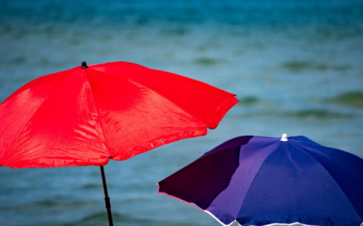 Vacances durables et nouveautés séduisent le bassin d’arcachon
