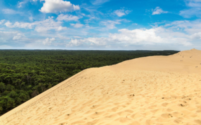 Dynamisme exceptionnel du bassin d’arcachon en 2024