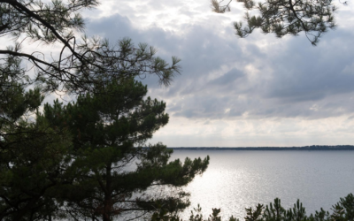 Vacances écologiques et culturelles sur le bassin d’Arcachon