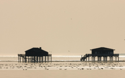 Bassin d’Arcachon record 2023 entre dunes, forêts et traditions