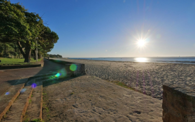 Plongez dans l’univers iodé du bassin d’arcachon et ses trésors